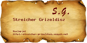 Streicher Grizeldisz névjegykártya